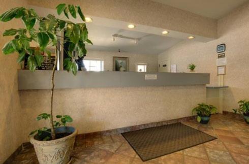 Edinburg Executive Inn Экстерьер фото